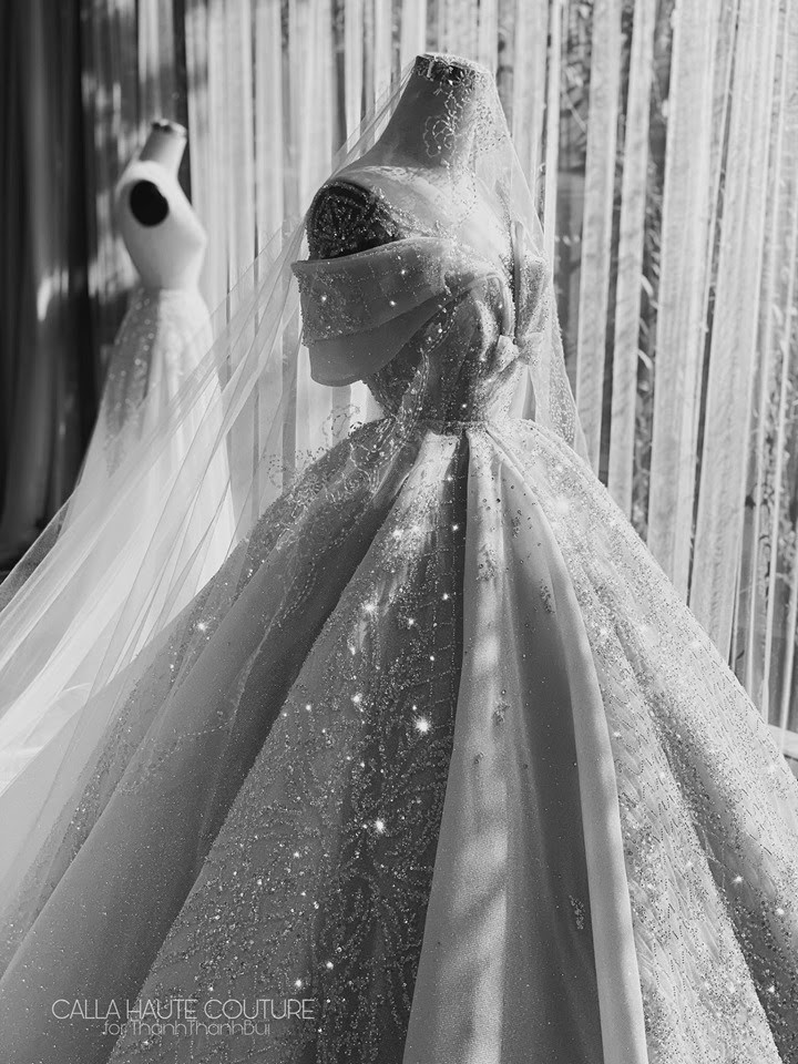 Váy cưới công chúa đính đá lấp lánh tay dài